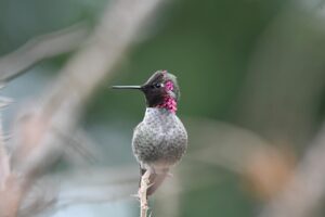 写真販売で売れるまでのプロセスとは？