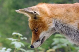 写真販売を始める際の注意点とは？