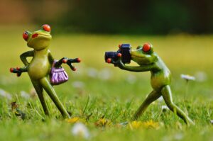 写真が売れる被写体ランキングとはどのようなものですか？
