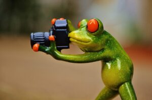 写真を活用した定期購読サイトの魅力とは？
