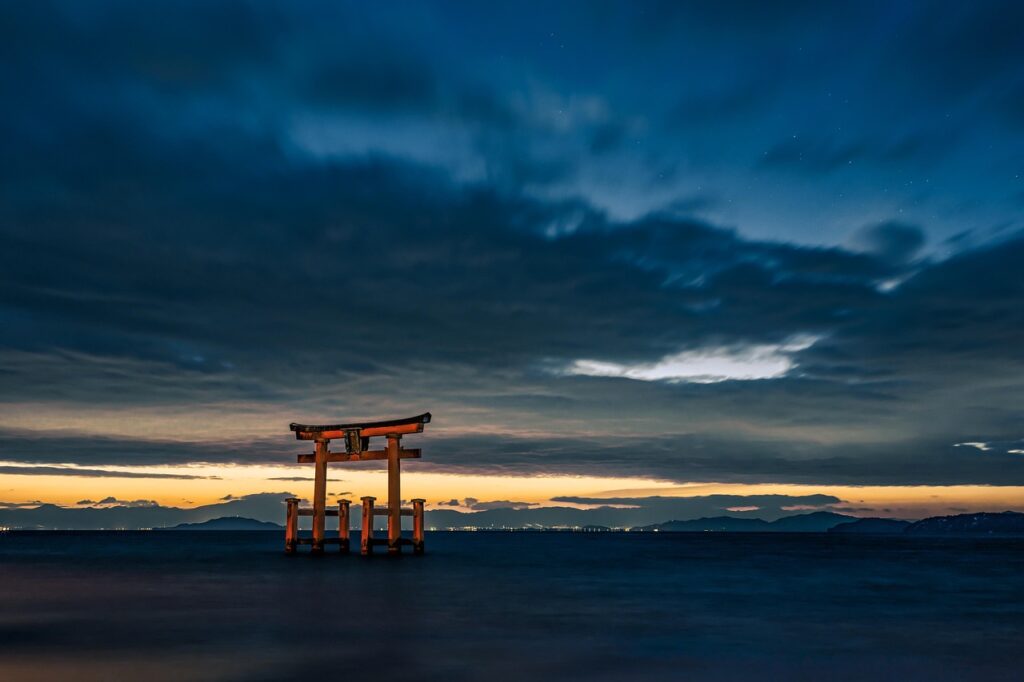 写真需要の解析から見えるトレンドとは？