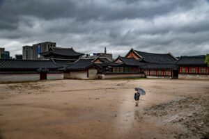 写真を使ったフリーランスの経験談はどんなものがある？