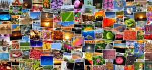 写真コラージュを使った副業の始め方は？