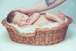 写真著作における収入はどのように比例するのか？