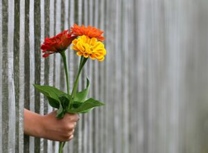 ココナラで写真提供を依頼する際のポイントは？