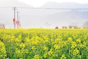 人物写真販売における注意点とは？