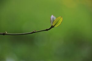 ストックフォトをアップロードする際の成功のコツは？