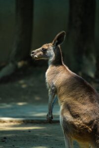 写真を使った副業で月1万円稼ぐ方法は？